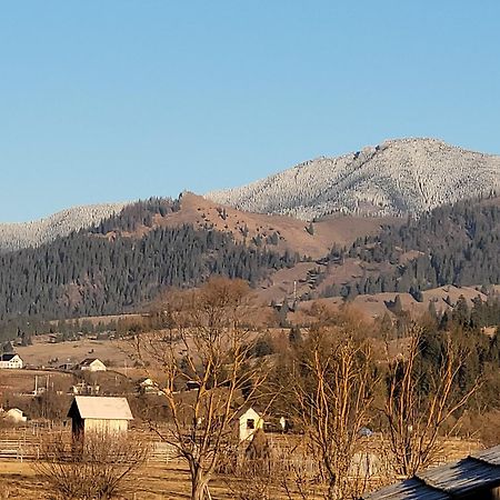Casa Abp Villa Vatra Dornei Esterno foto