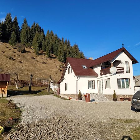Casa Abp Villa Vatra Dornei Esterno foto
