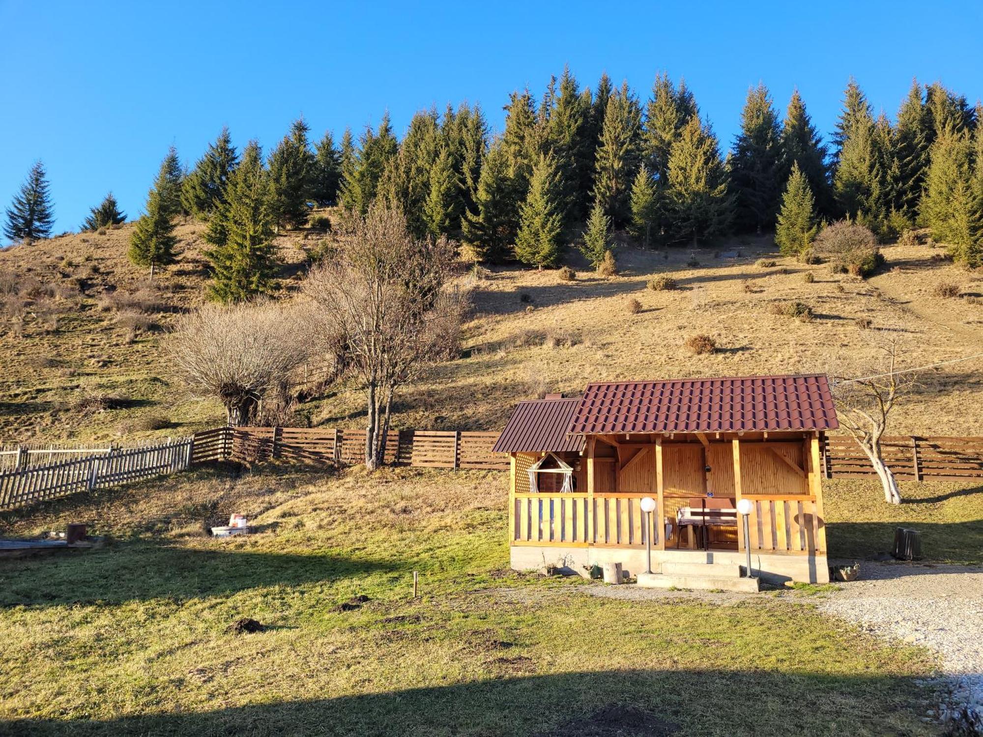 Casa Abp Villa Vatra Dornei Esterno foto