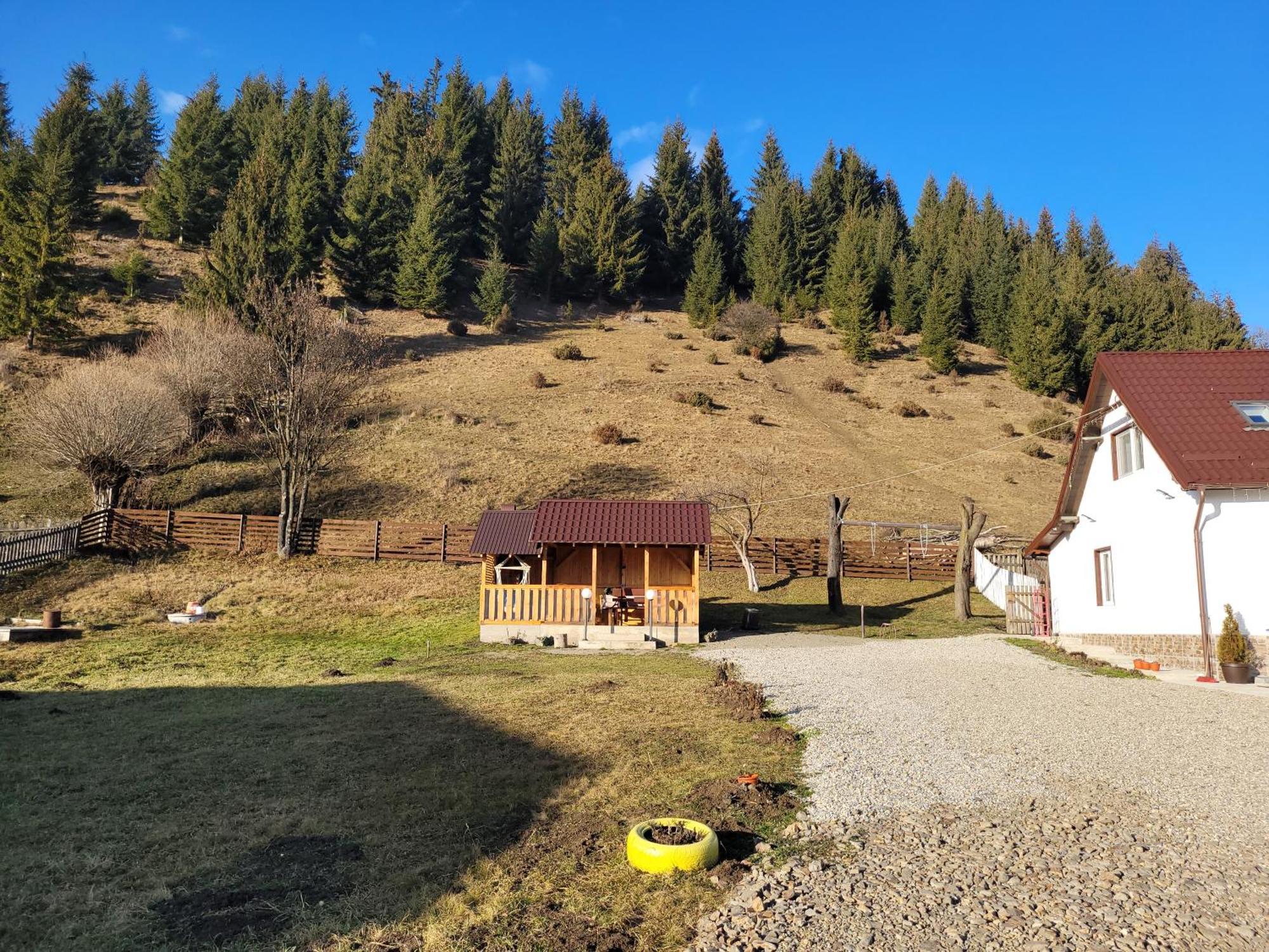 Casa Abp Villa Vatra Dornei Esterno foto